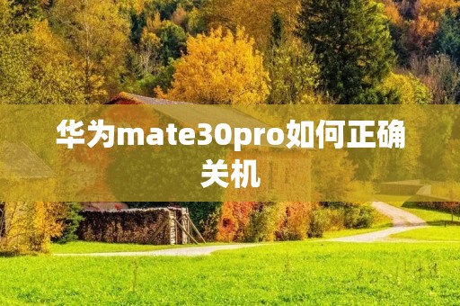 华为mate30pro如何正确关机