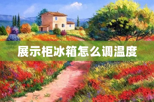 展示柜冰箱怎么调温度