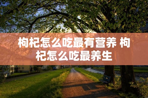 枸杞怎么吃最有营养 枸杞怎么吃最养生