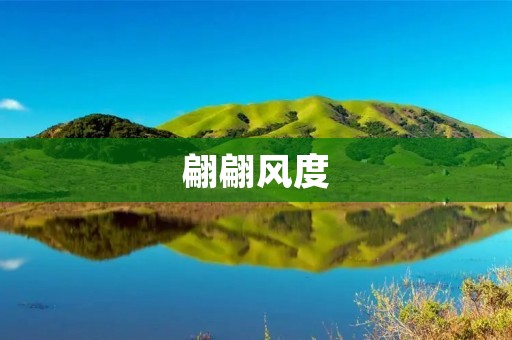翩翩风度:优雅与自信的完美结合