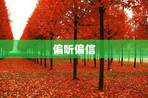偏听偏信:如何应对信息过载时代的挑战