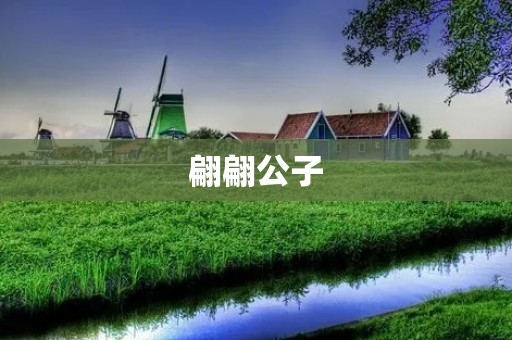 翩翩公子:风华绝代的绅士魅力
