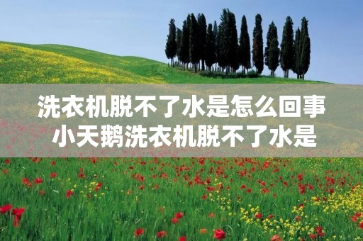 洗衣机脱不了水是怎么回事 小天鹅洗衣机脱不了水是怎么回事