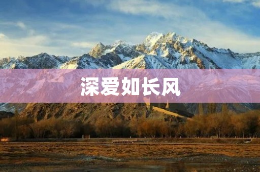 深爱如长风:永恒的情感之旅
