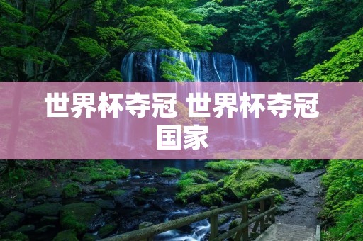 世界杯夺冠 世界杯夺冠国家