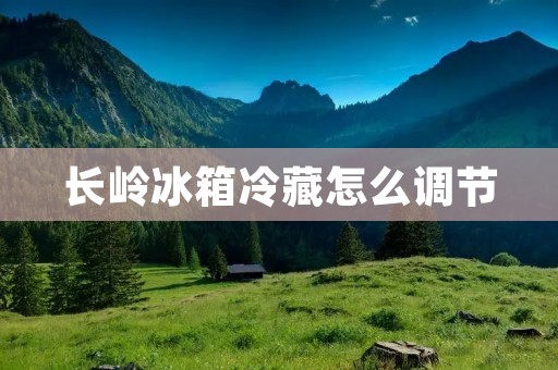 长岭冰箱冷藏怎么调节