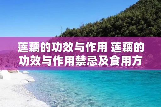 莲藕的功效与作用 莲藕的功效与作用禁忌及食用方法