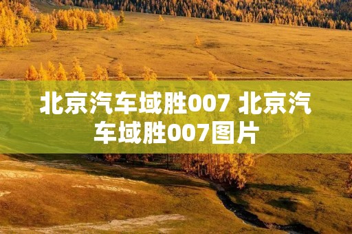 北京汽车域胜007 北京汽车域胜007图片