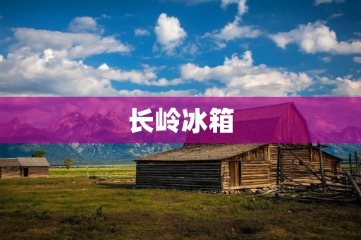 长岭冰箱：中国制造的品质之选
