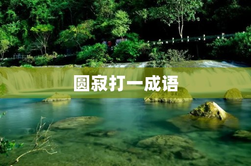 圆寂打一成语:狗急跳墙