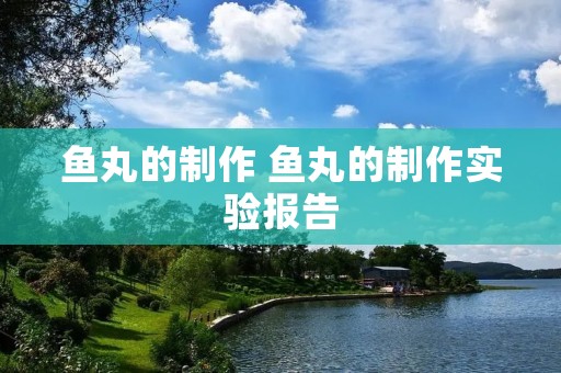鱼丸的制作 鱼丸的制作实验报告