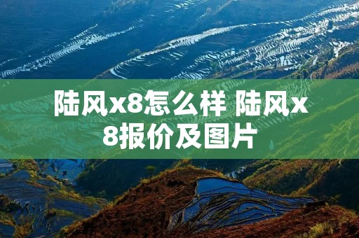 陆风x8怎么样 陆风x8报价及图片