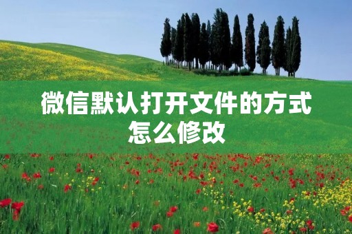 微信默认打开文件的方式怎么修改
