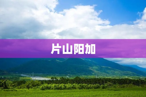 片山阳加:探索音乐与人生的完美融合