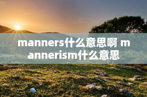 manners什么意思啊 manneri**什么意思