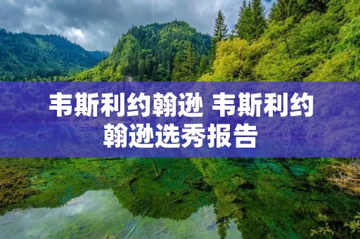 韦斯利约翰逊 韦斯利约翰逊选秀报告