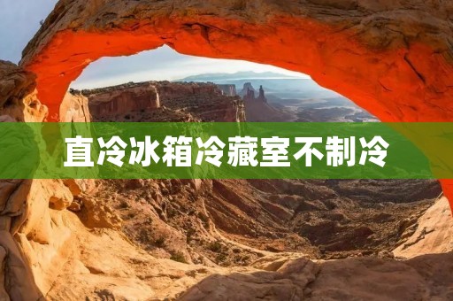 直冷冰箱冷藏室不制冷：可能的原因和解决办法