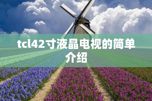 tcl42寸液晶电视的简单介绍