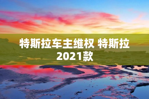 特斯拉车主** 特斯拉2021款 特斯拉车主** 特斯拉2021款