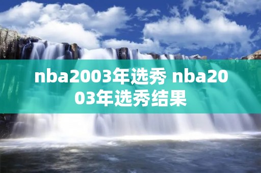 nba2003年选秀 nba2003年选秀结果