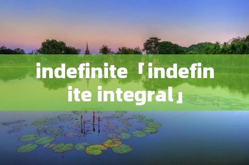 indefinite「indefinite integral」