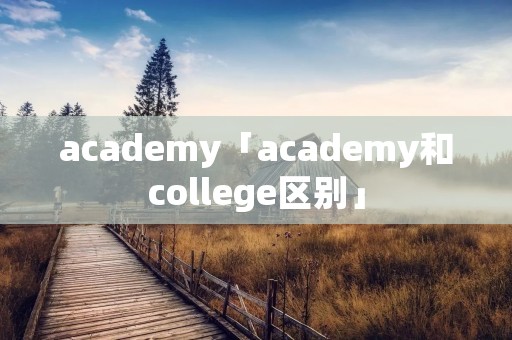 academy「academy和college区别」