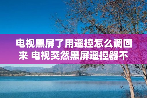 电视黑屏了用遥控怎么调回来 电视突然黑屏遥控器不好使