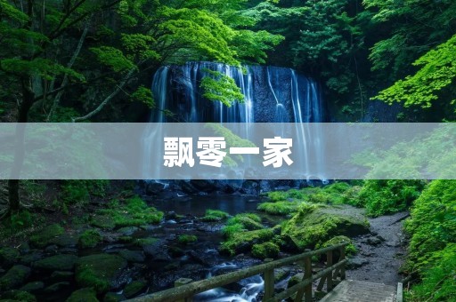 飘零一家:探索孤儿的生存之道