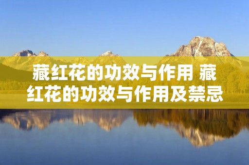 藏红花的功效与作用 藏红花的功效与作用及禁忌有哪些
