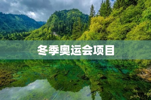 冬季奥运会项目：挑战极限，冰雪竞技的盛宴