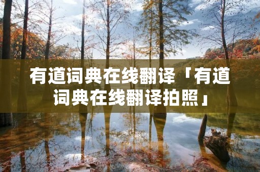 有道词典在线翻译「有道词典在线翻译拍照」 有道词典在线翻译「有道词典在线翻译拍照」