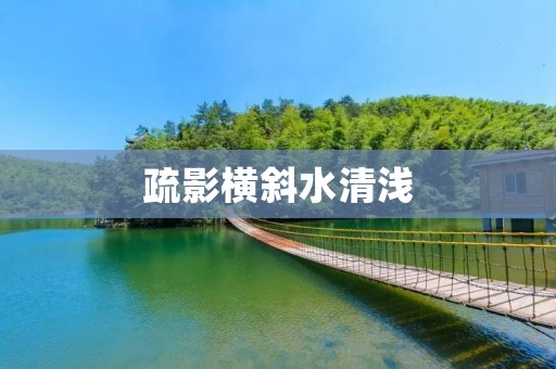 疏影横斜水清浅:一场寻觅心灵栖息地的旅程