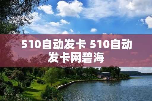 510自动发卡 510自动发卡网碧海