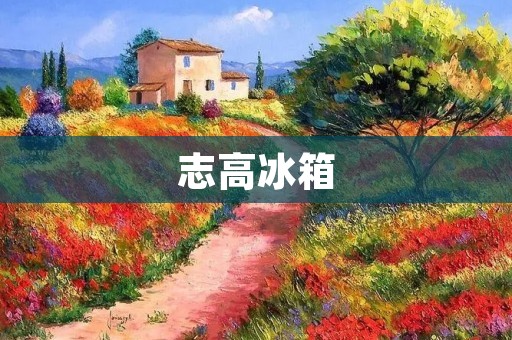志高冰箱:国内生产的高品质冷藏电器 志高冰箱:国内生产的高品质冷藏电器