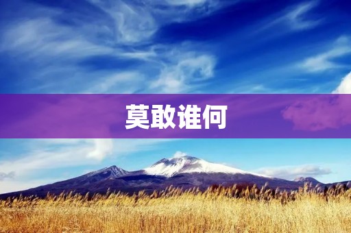 莫敢谁何:勇往直前,无所畏惧