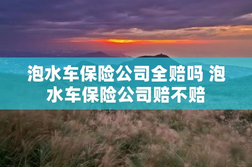 泡水车保险公司全赔吗 泡水车保险公司赔不赔