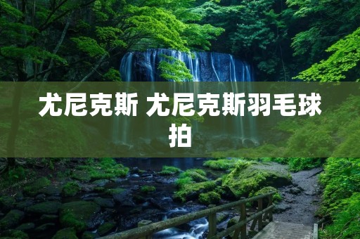 尤尼克斯 尤尼克斯羽毛球拍