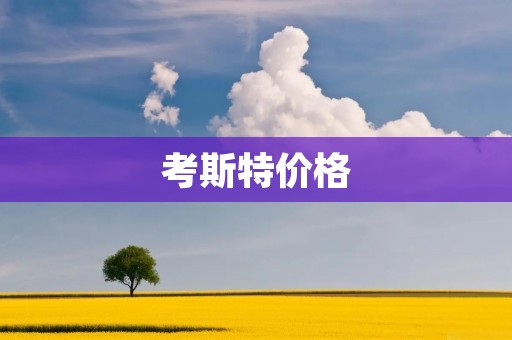 考斯特价格:探索高性价比的旅行选择