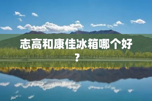 志高和康佳冰箱哪个好？