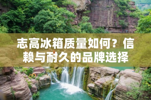 志高冰箱质量如何？信赖与耐久的品牌选择