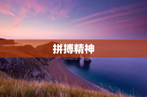 拼搏精神:追逐梦想的不竭动力