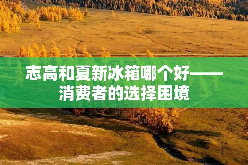 志高和夏新冰箱哪个好——消费者的选择困境