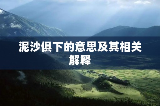 泥沙俱下的意思及其相关解释