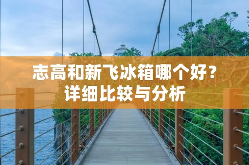 志高和新飞冰箱哪个好?详细比较与分析 志高和新飞冰箱哪个好?详细比较与分析