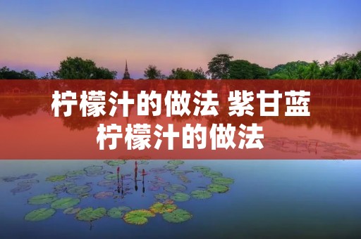 柠檬汁的做法 紫甘蓝柠檬汁的做法
