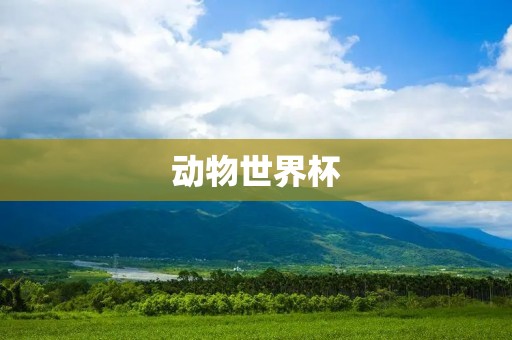动物世界杯:草原之战,热血激荡 动物世界杯:草原之战,热血激荡