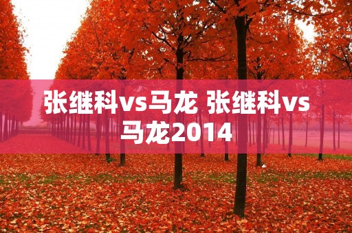 张继科vs马龙 张继科vs马龙2014