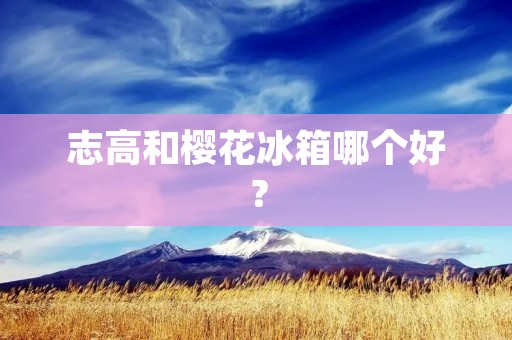 志高和樱花冰箱哪个好？