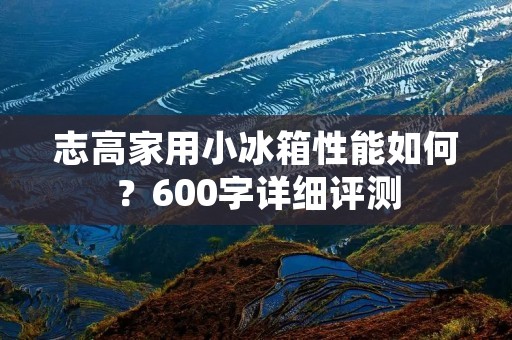 志高家用小冰箱性能如何?600字详细评测 志高家用小冰箱性能如何?600字详细评测
