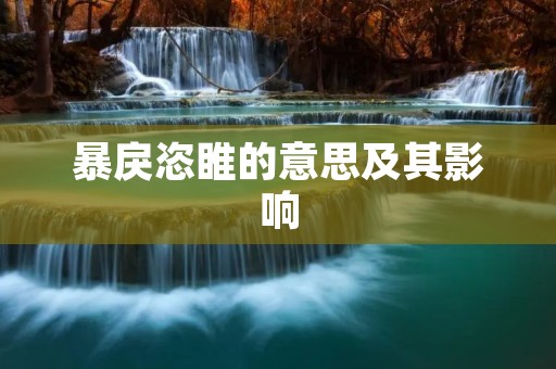 暴戾恣睢的意思及其影响